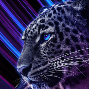 Meet your Posher, Scotland